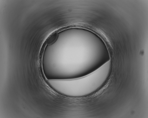 X0000096130924200801180826