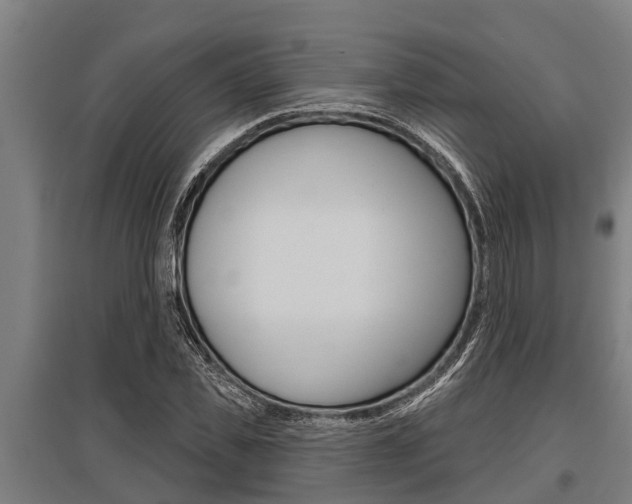 X0000096130925200801180826
