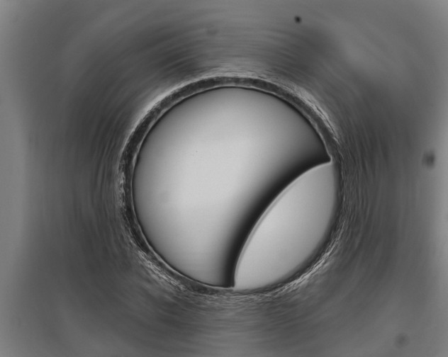 X0000096130926200801180826