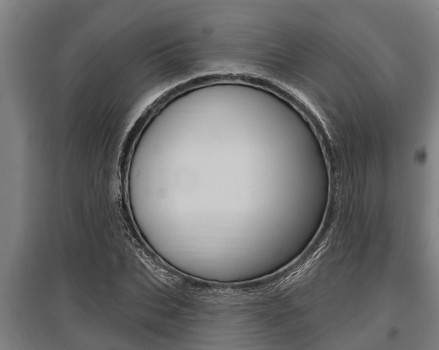 X0000096130927200801180826