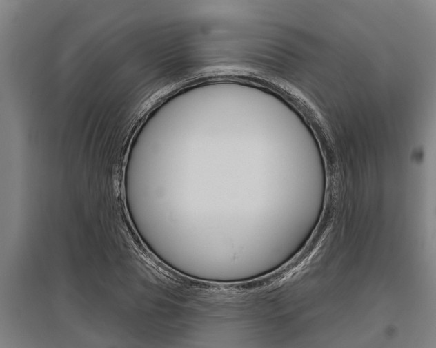 X0000096130929200801180826
