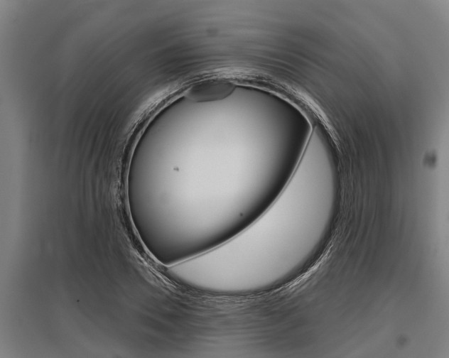 X0000096130930200801180826