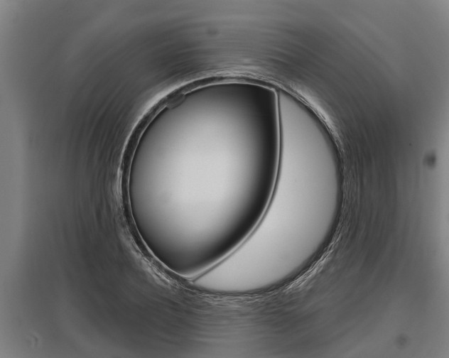 X0000096130932200801180826