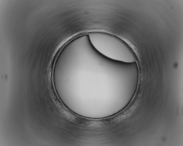X0000096130933200801180826