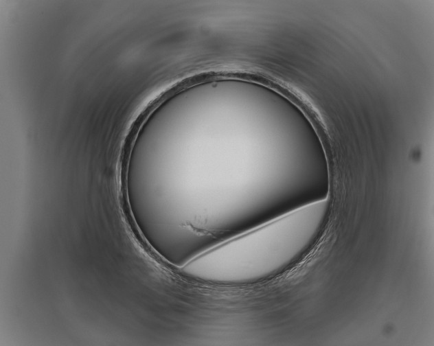 X0000096130935200801180826
