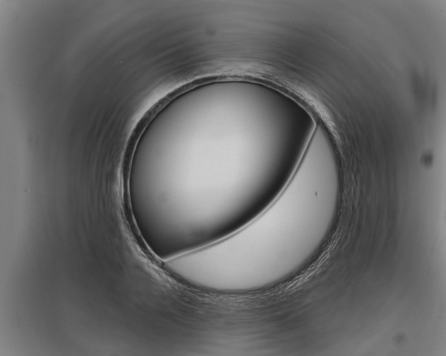 X0000096130936200801180826