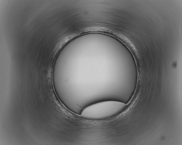 X0000096130937200801180826