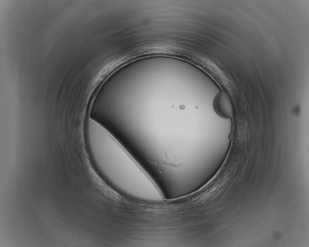X0000096130938200801180826
