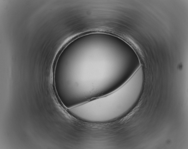 X0000096130940200801180826