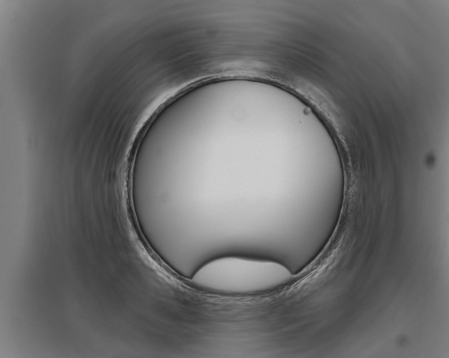 X0000096130941200801180826