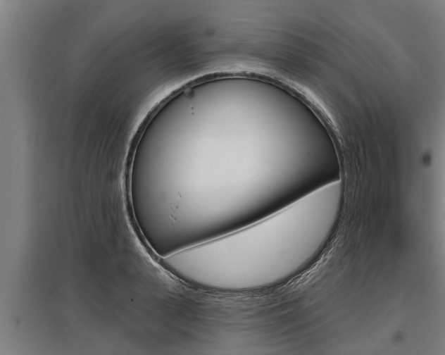 X0000096130943200801180826