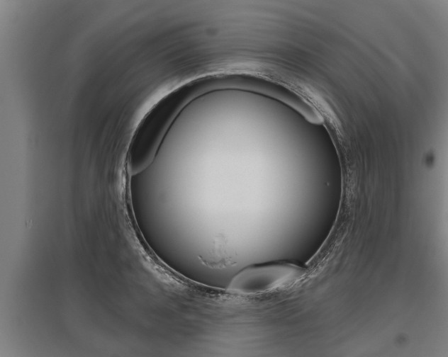 X0000096130944200801180826