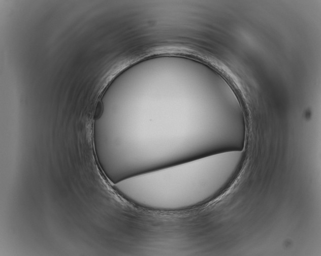 X0000096130945200801180826