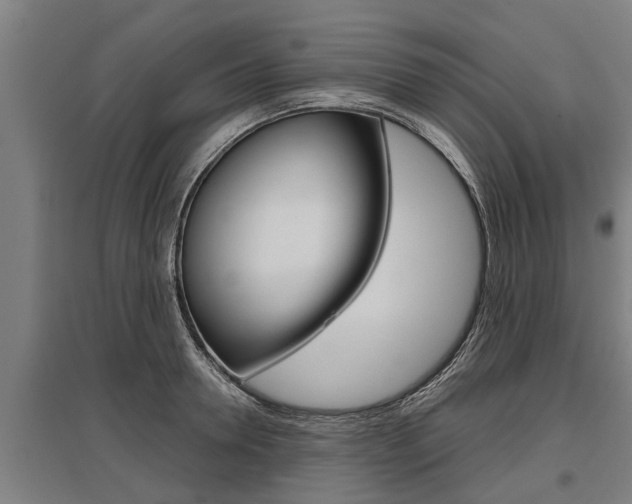 X0000096130946200801180826