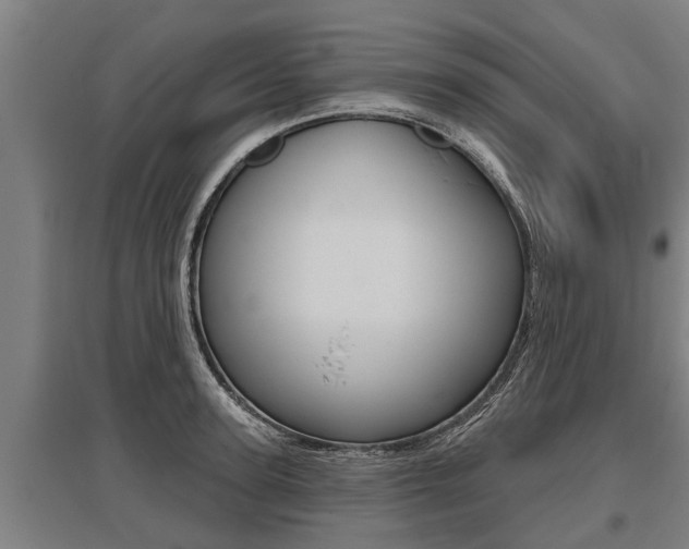X0000096130947200801180826