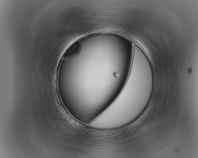 X0000096130948200801180826
