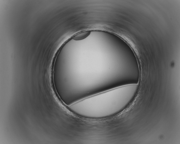 X0000096130949200801180826