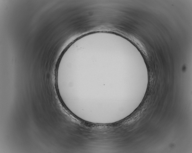 X0000096130950200801180826