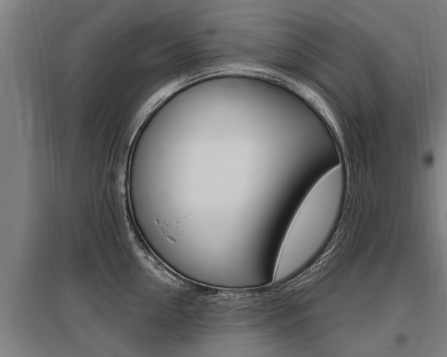 X0000096130954200801180826