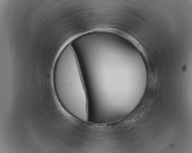 X0000096130955200801180826