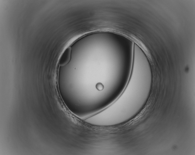 X0000096130956200801180826