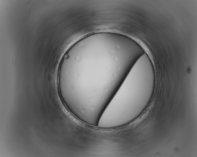 X0000096130957200801180826