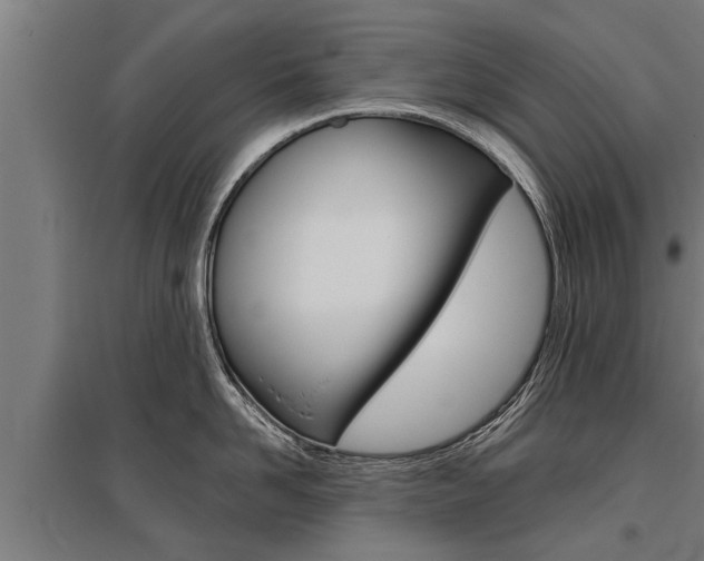 X0000096130958200801180826