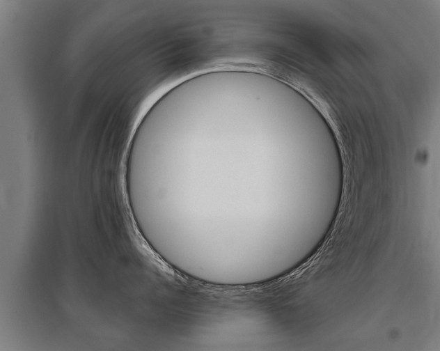 X0000096130960200801180826