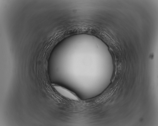 X0000096130961200801180826