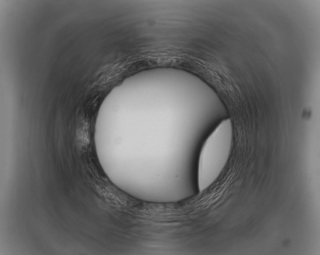 X0000096130962200801180826