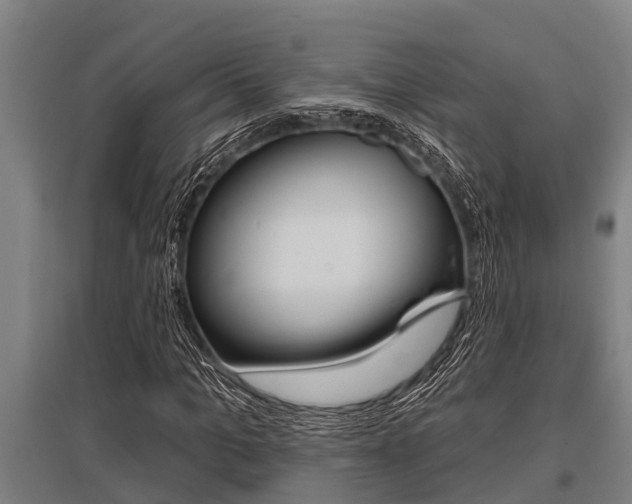 X0000096130965200801180826