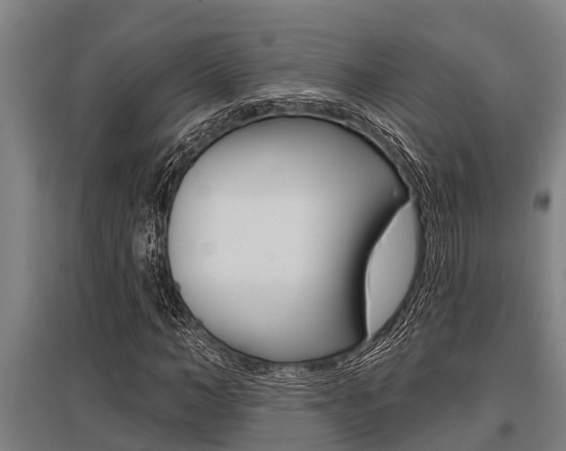 X0000096130966200801180826