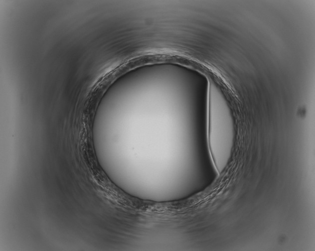 X0000096130967200801180826