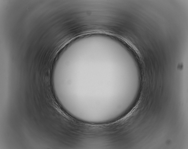 X0000096130969200801180826