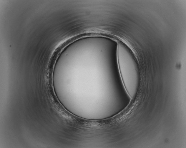 X0000096130971200801180826