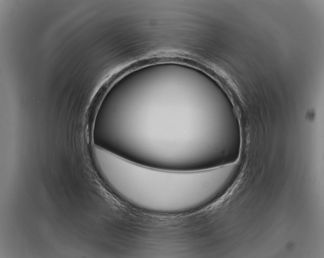 X0000096130973200801180826
