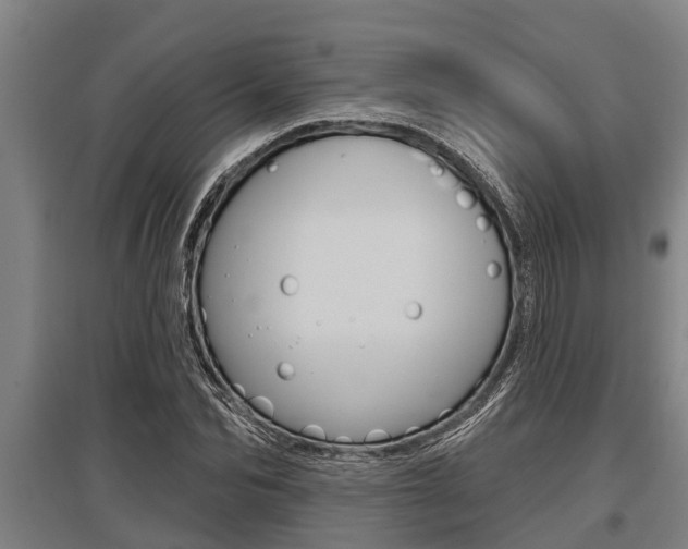 X0000096130974200801180826