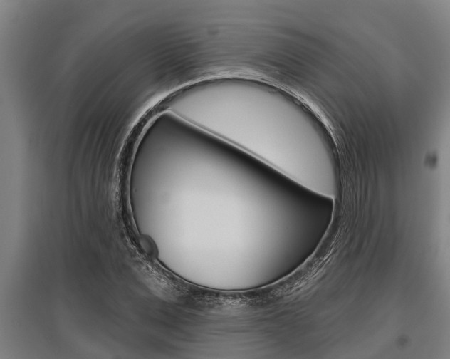 X0000096130975200801180826