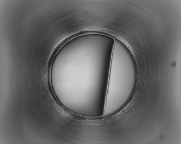 X0000096130976200801180826
