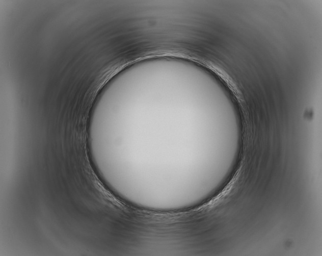 X0000096130977200801180826
