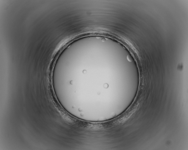 X0000096130978200801180826