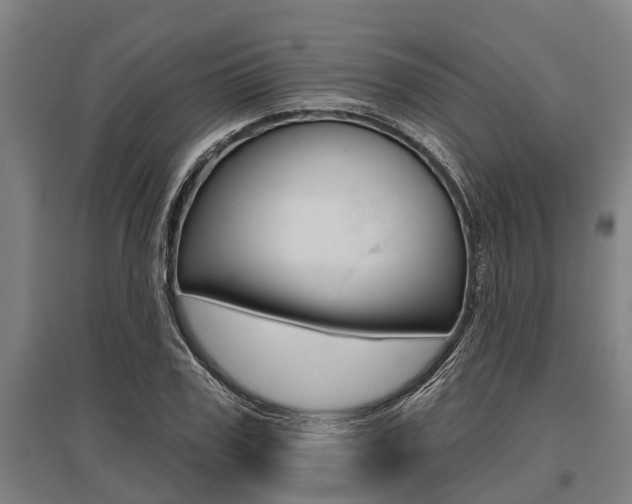 X0000096130979200801180825