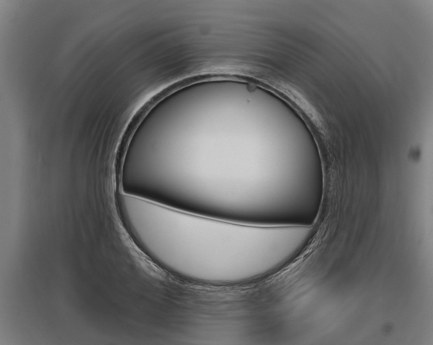 X0000096130980200801180825