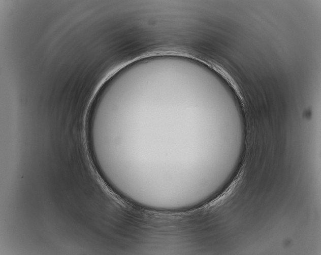 X0000096130981200801180825