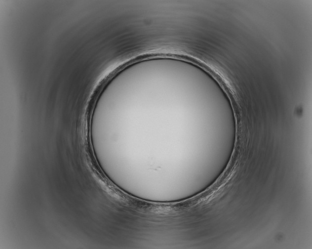 X0000096130982200801180825