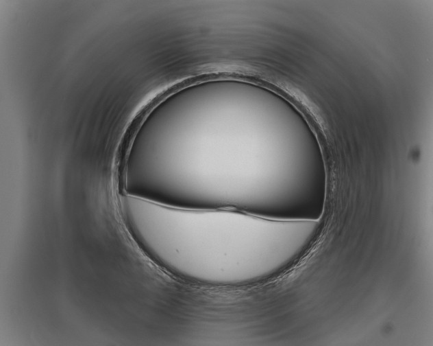X0000096130983200801180825