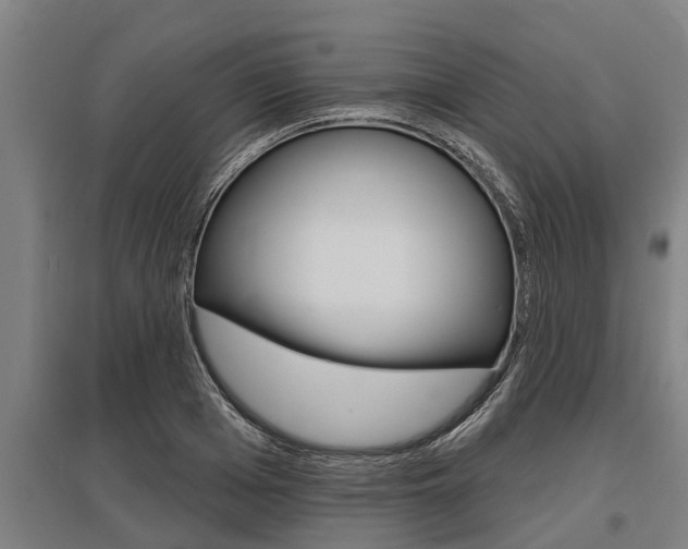 X0000096130985200801180825