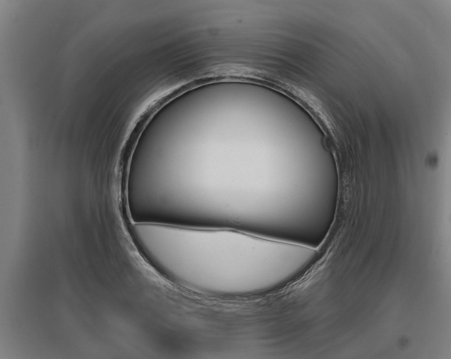 X0000096130987200801180825