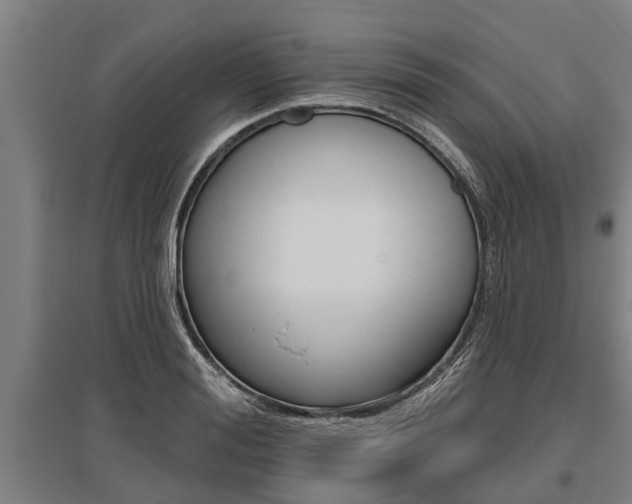 X0000096130988200801180825