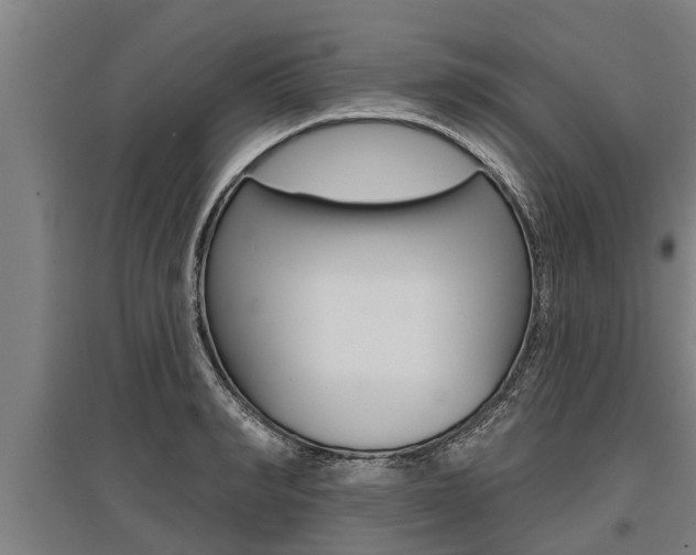 X0000096130990200801180825